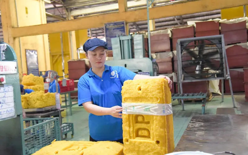 MỦ SVR 3L