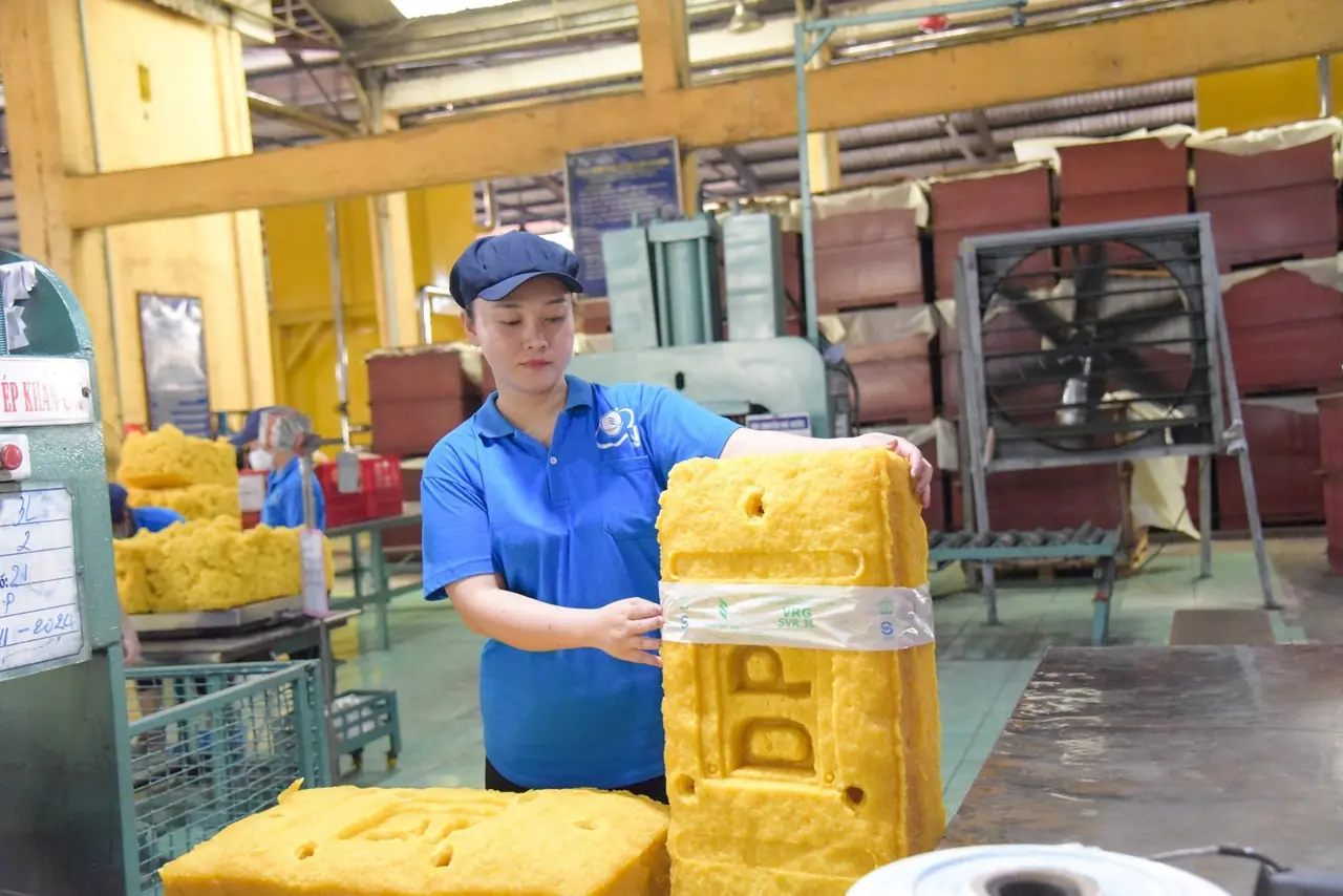 Công nhân đóng gói bành cao su SVR 3L