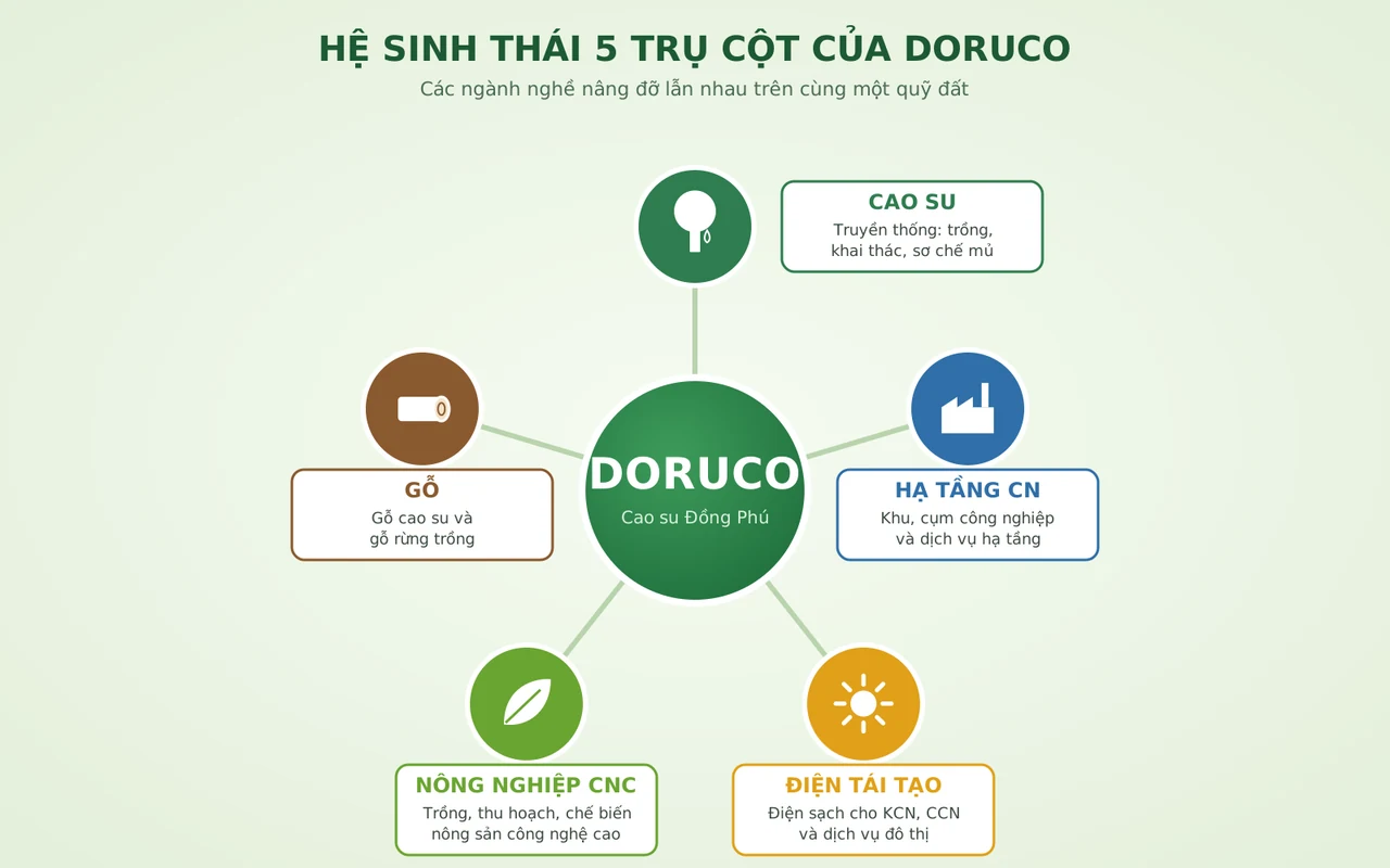 Sơ đồ hệ sinh thái 5 trụ cột của Doruco